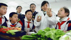 食物平安有举第一百一十四条）